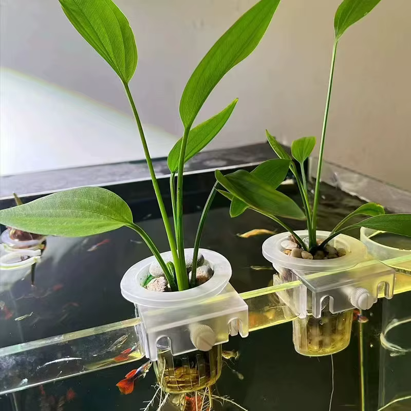 Panier de plantation d'aquarium
