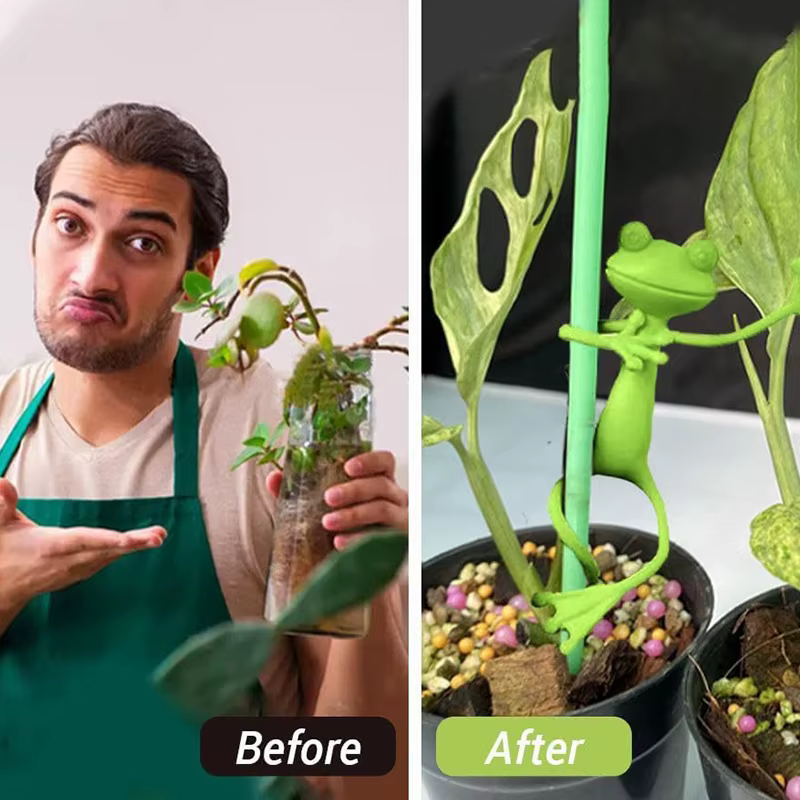 Support de plante en forme de grenouille 1/2/5 pièces