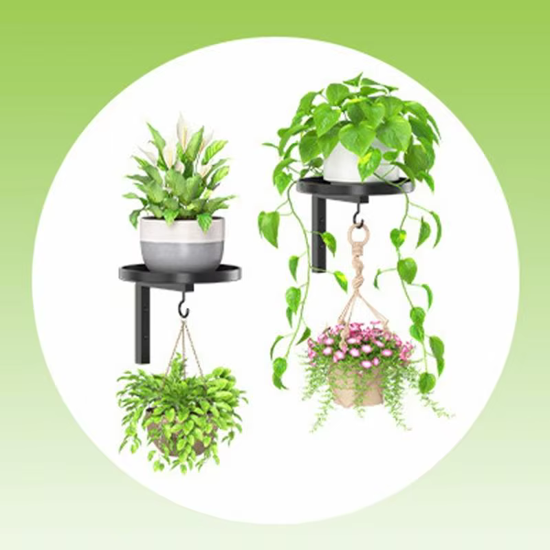 Étagère murale pour plantes