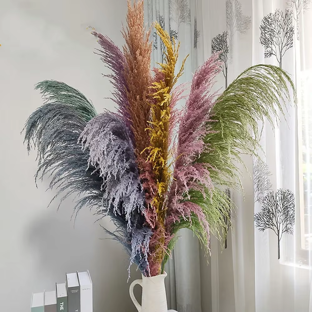 Grande herbe de Pampas naturelle de 80cm
