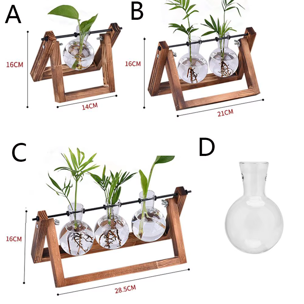 Vase en verre pour plantes hydroponiques