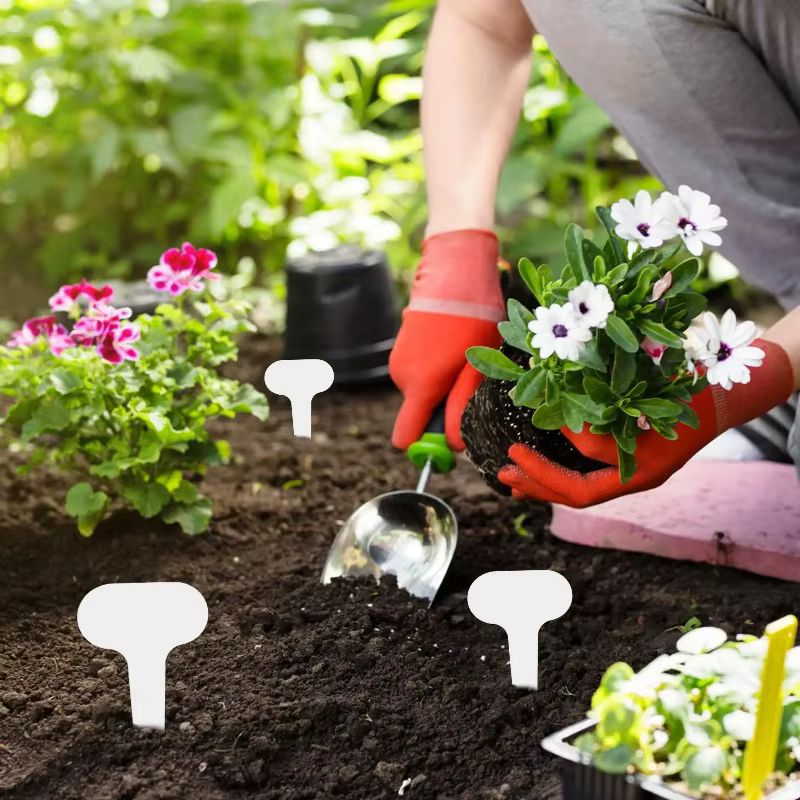 100 étiquettes de jardin en PVC pour plantes en pot