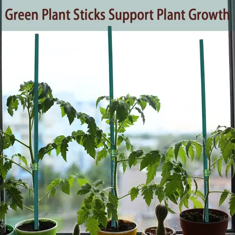 Bâtons de soutien pour plantes