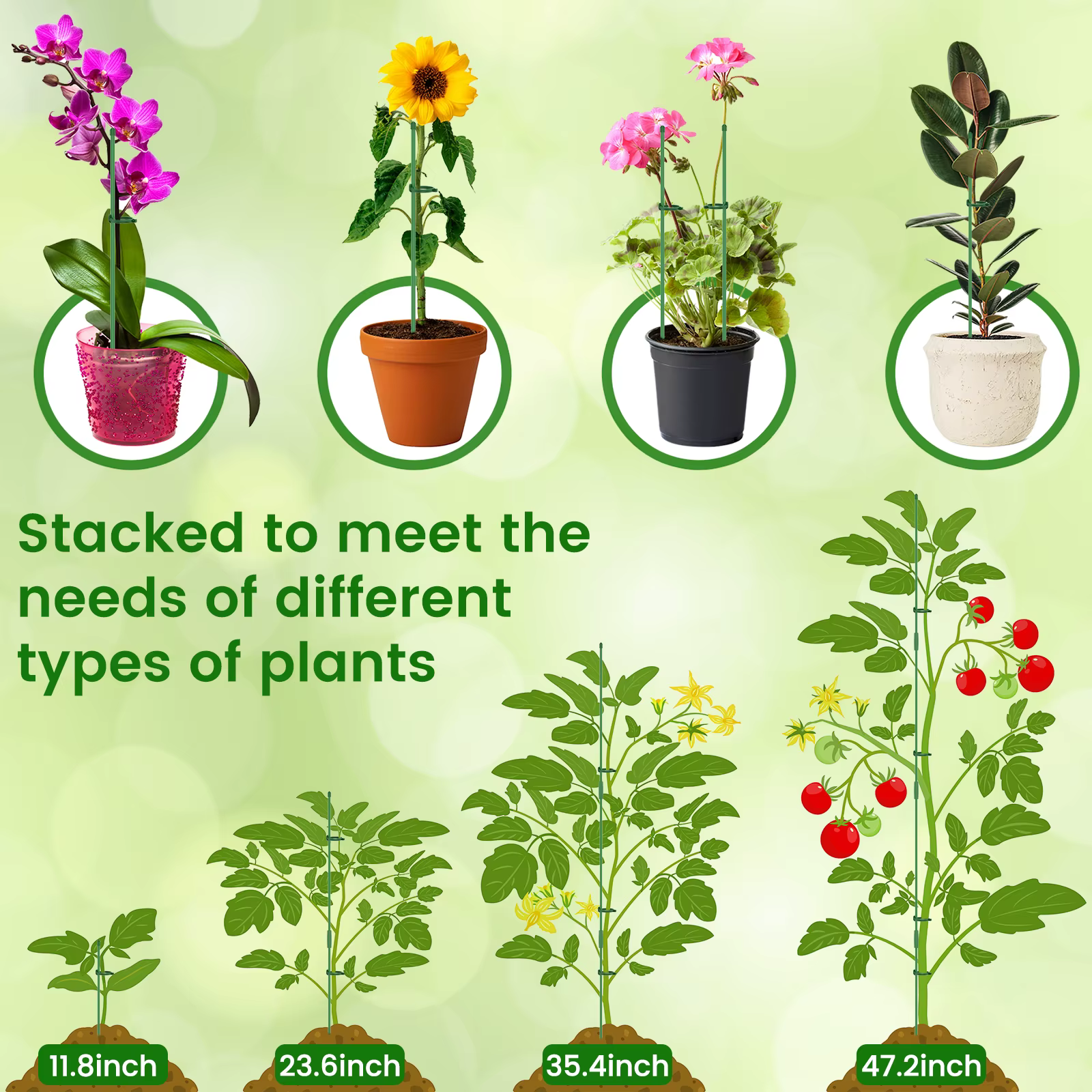 Piquets de Support pour plantes
