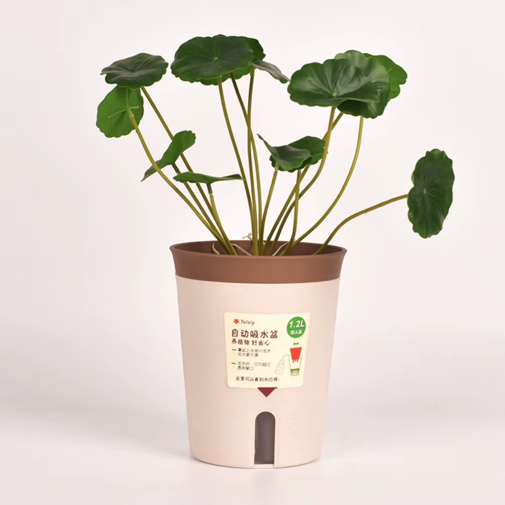 Pot de fleur hydroponique paresseux, pot de fleurs absorbant l'eau, pot de plante succulente, plastique, jardinière auto-arrosante, salon, décor de bureau