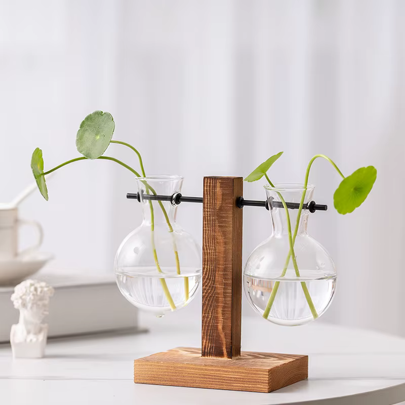 Vase à Plantes de Fleurs Vintage Terrarium