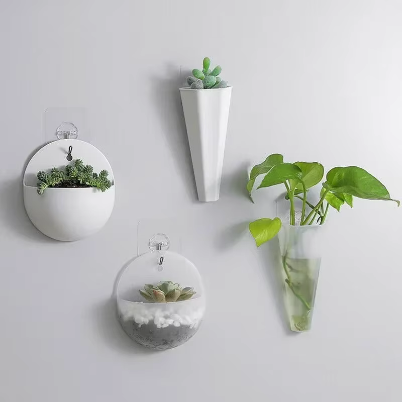Plante de fleurs jardin intérieur maison