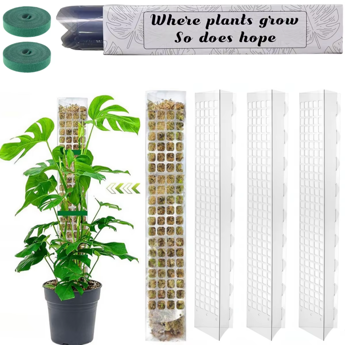 Support de plantes en plastique