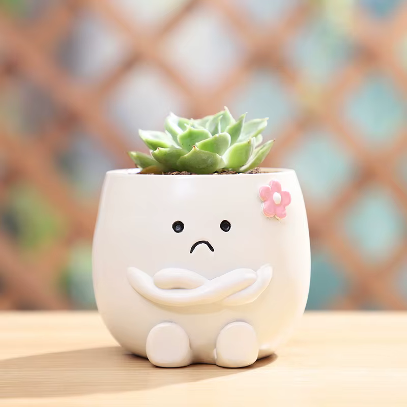 Mini Pot de plantes en résine avec visage Smiley