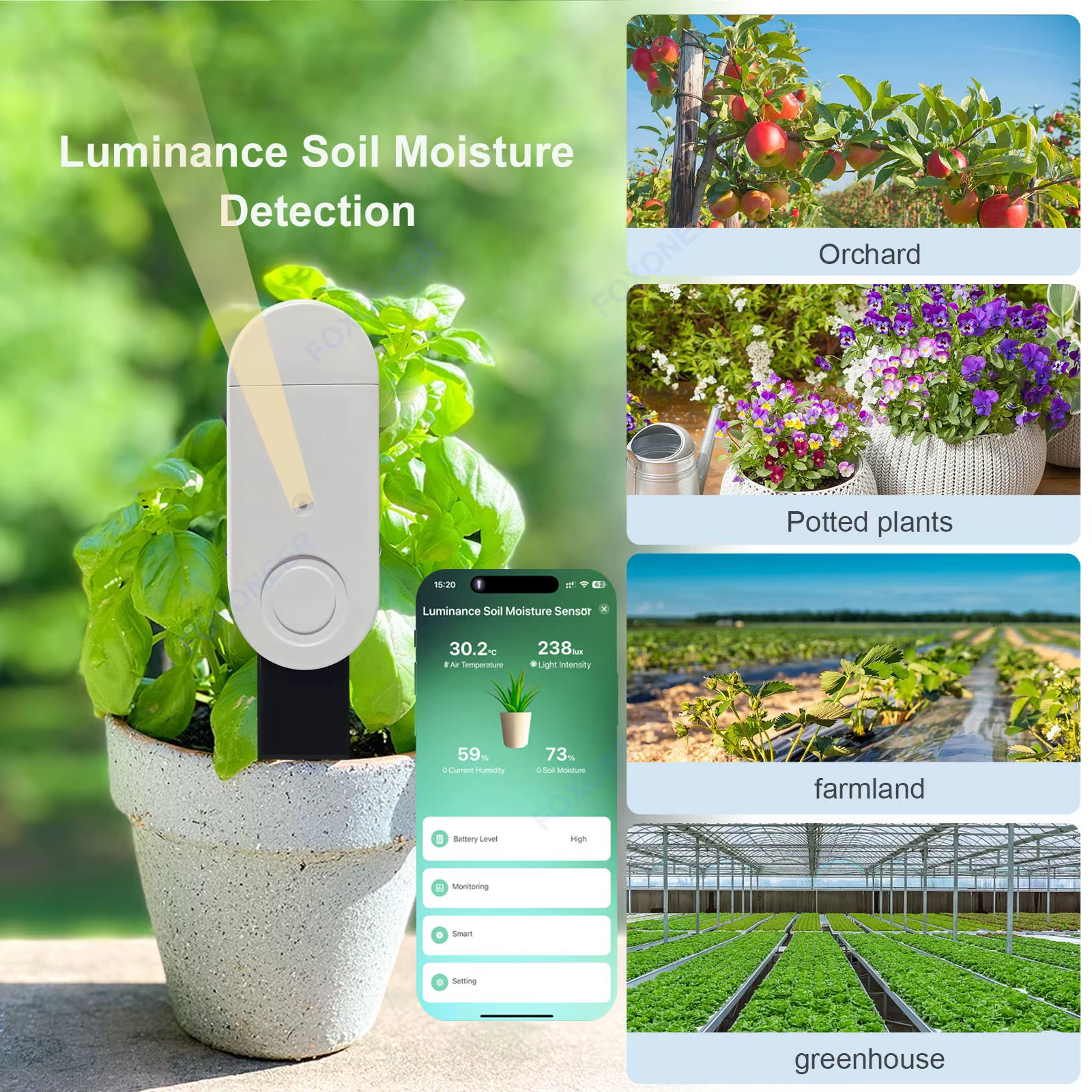 Capteur d'humidité du sol Zigbee moniteur intelligent plantes testeur