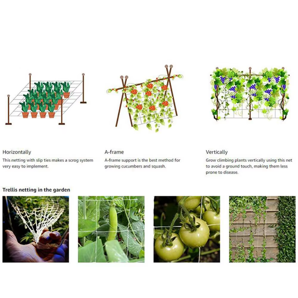 Filet d'escalade pour plantes horticoles