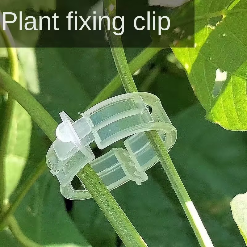 Clips de Support pour plantes