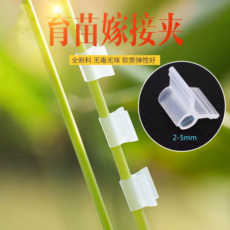 Clips de greffage de plantes