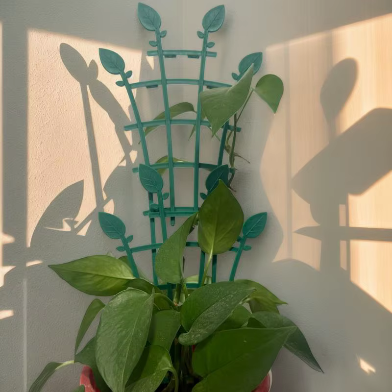 Treillis de plantes pour Pots 4X