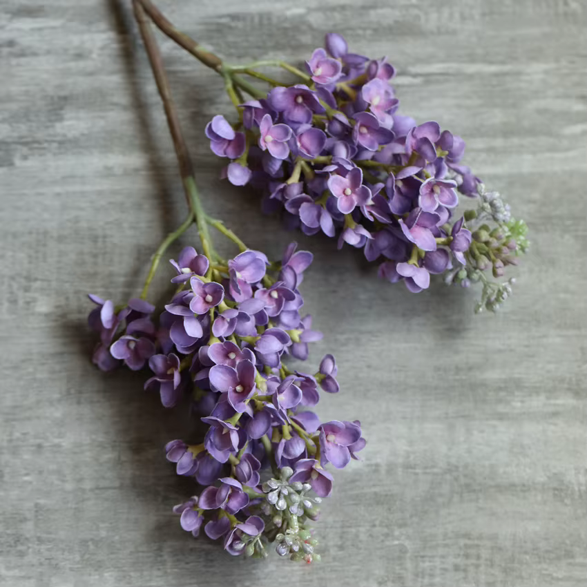 Hortensia Artificiel en Latex CAN ac