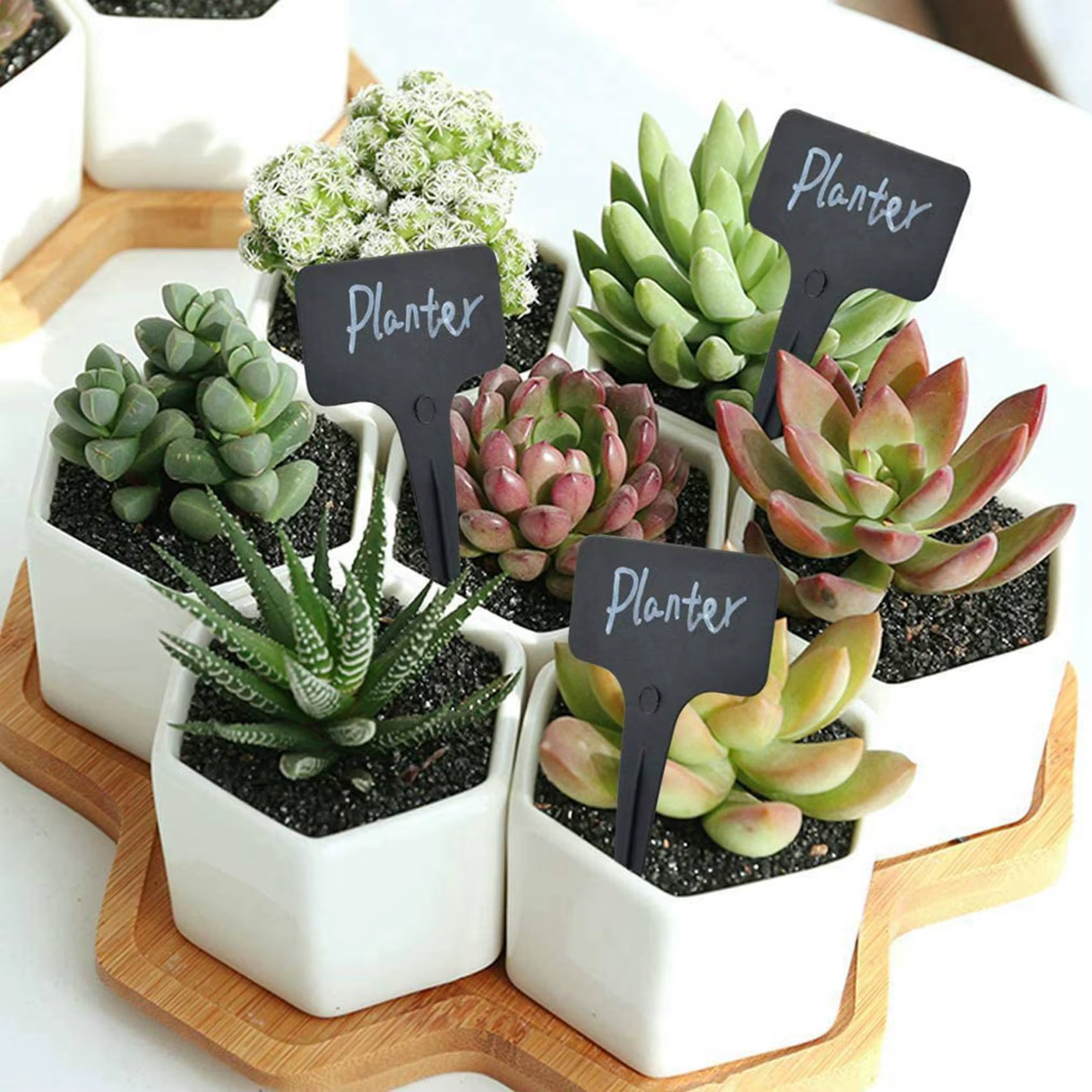 Étiquettes de plantes noires A36T-303Pcs/Set
