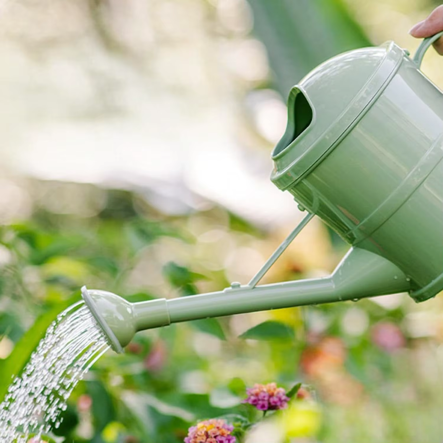 Arrosoir pour plantes de 1