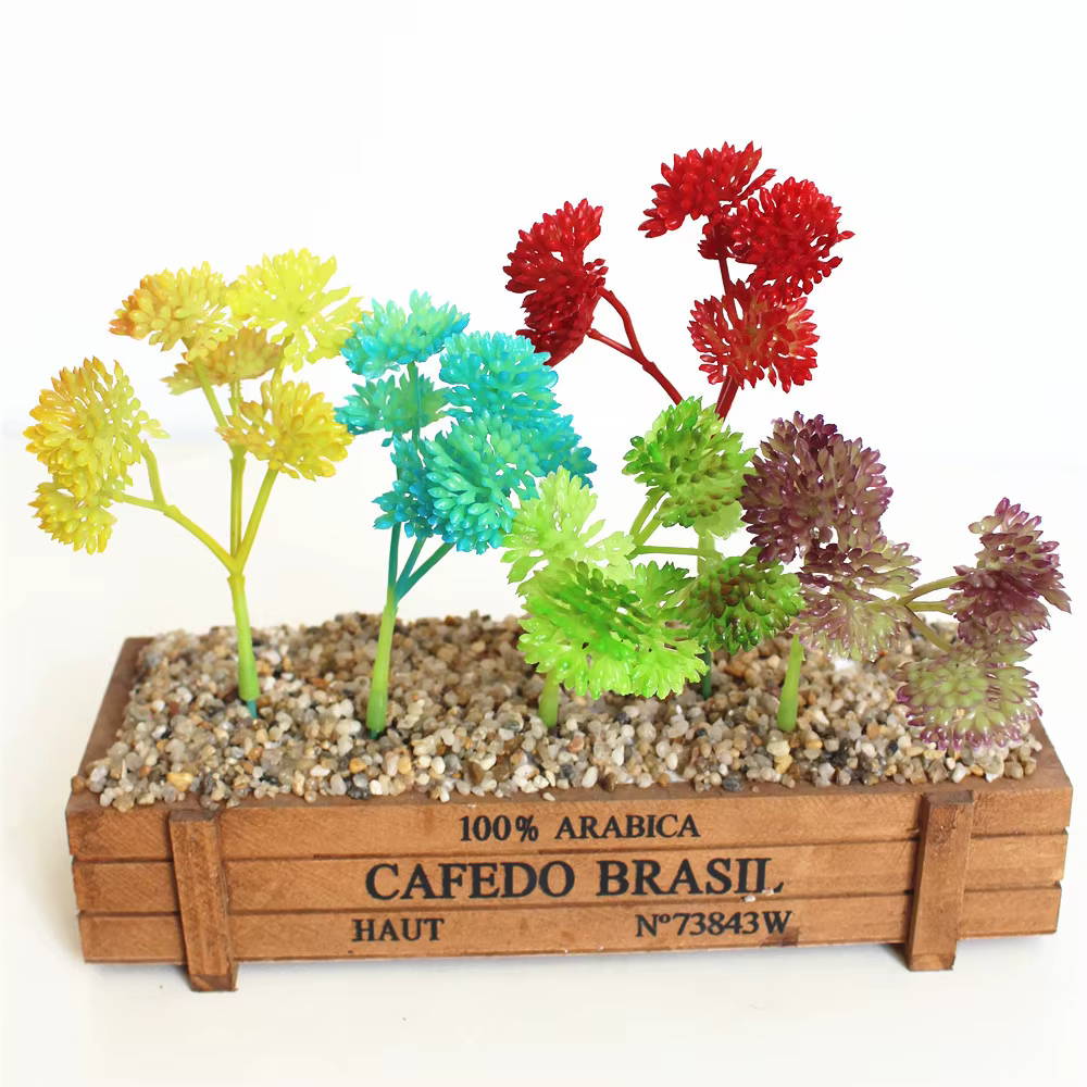 Mini plantes succulentes