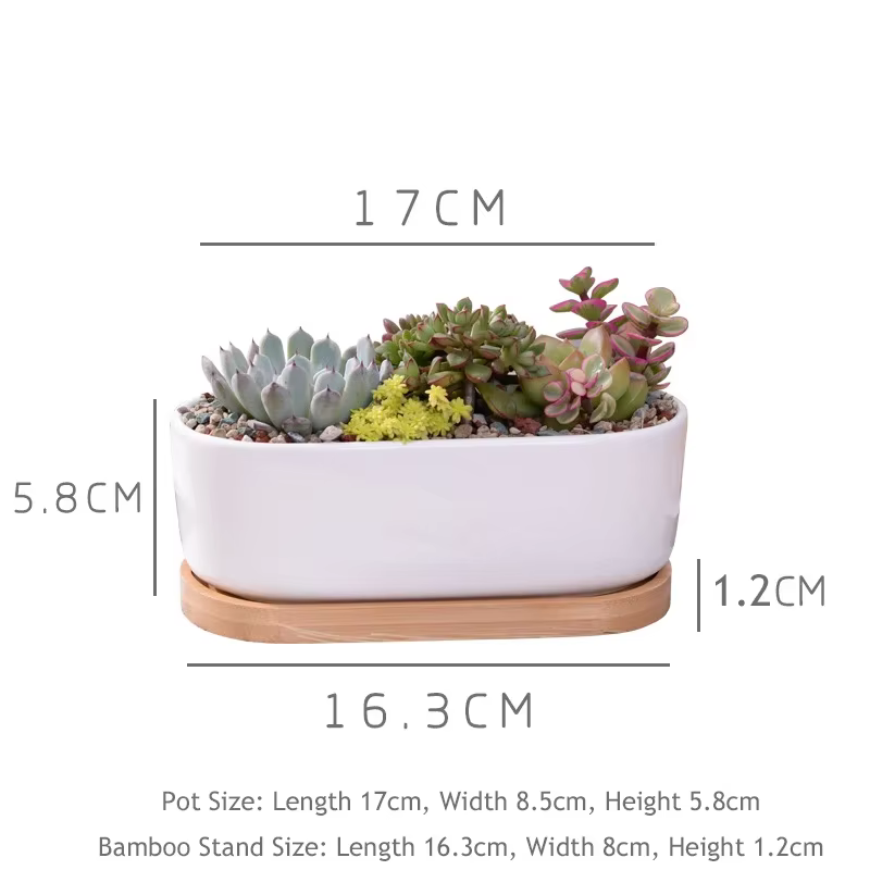 Pot de jardinière succulente blanche en céramique de forme ovale avec plateau en bambou
