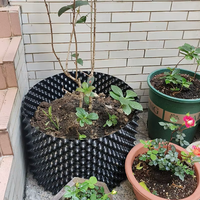 Pots de taille aérienne en plastique