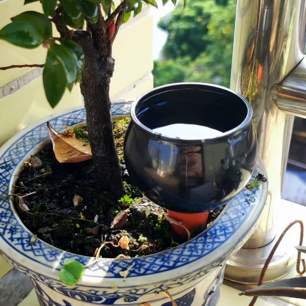 2 pièces Système d'irrigation automatique pour plantes
