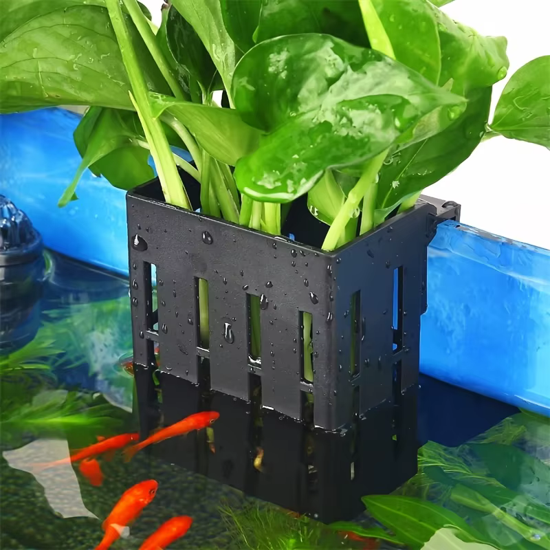 3 pièces en plastique Aquarium plante support