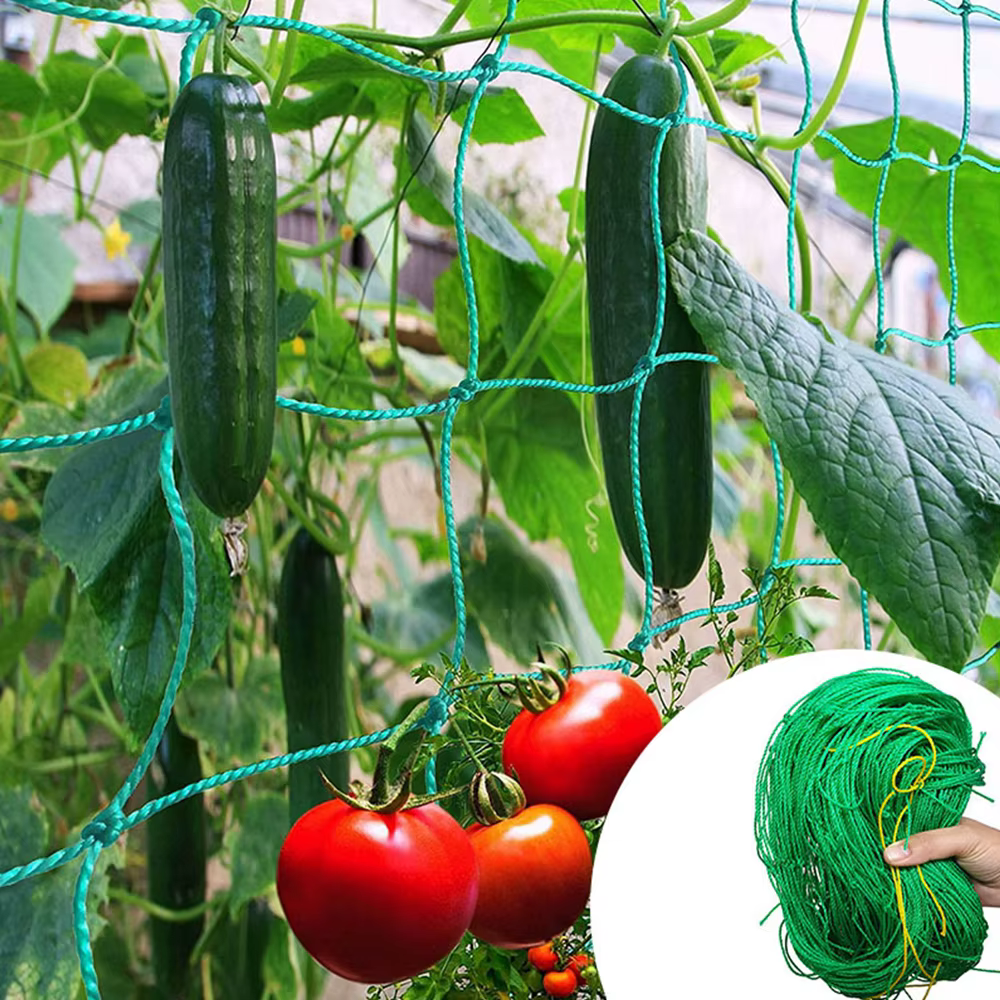 Filet d'escalade pour plantes