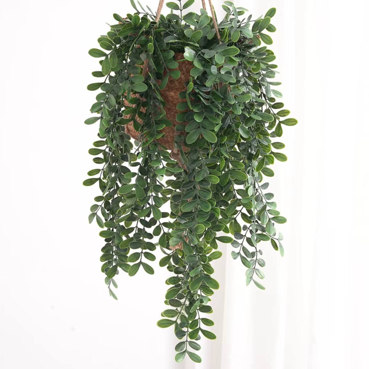 Plantes de lierre artificielles