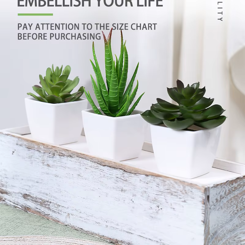 1 ensemble de bonsaï de plantes artificielles à feuilles persistantes