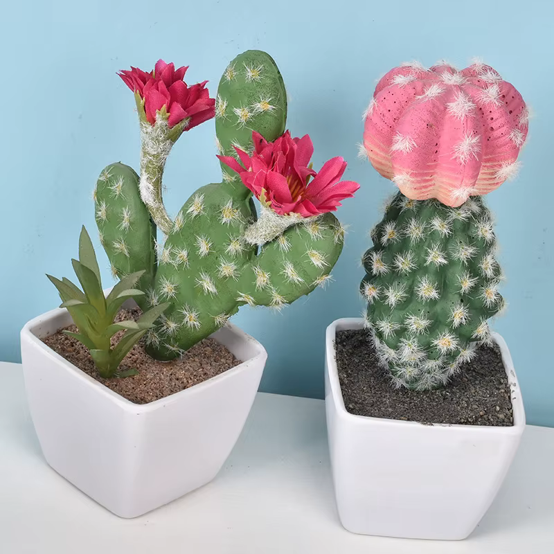 Cactus artificiel en pot plante verte Simulation succulente en pot fausses plantes