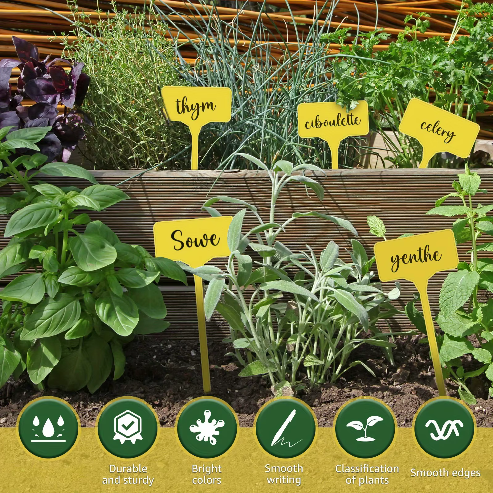 Étiquettes de plantes de jardin en plastique de Type T