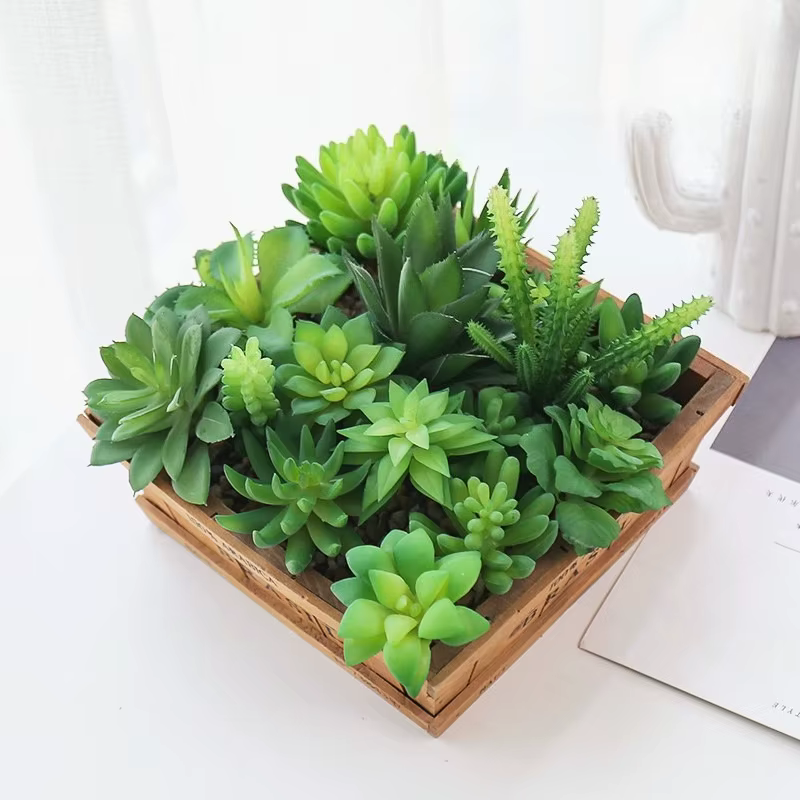 Plantes succulentes artificielles vertes bonsaï
