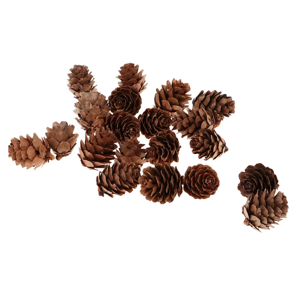 Pommes de pin décoratives naturelles