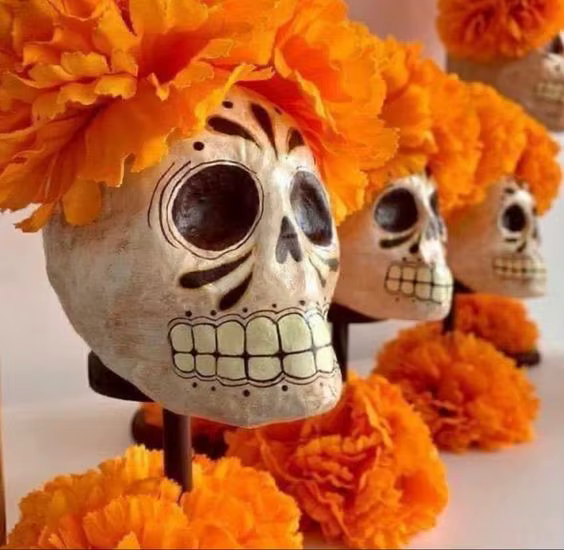 Têtes De fleurs De souci en vrac
