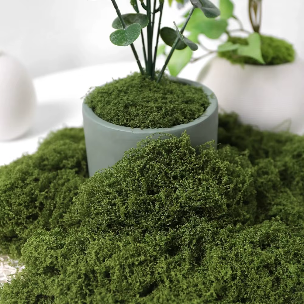 30/50/100g plantes vertes artificielles mousse herbe maison salon jardin décoration Mini paysage fausse fleur bricolage artisanat