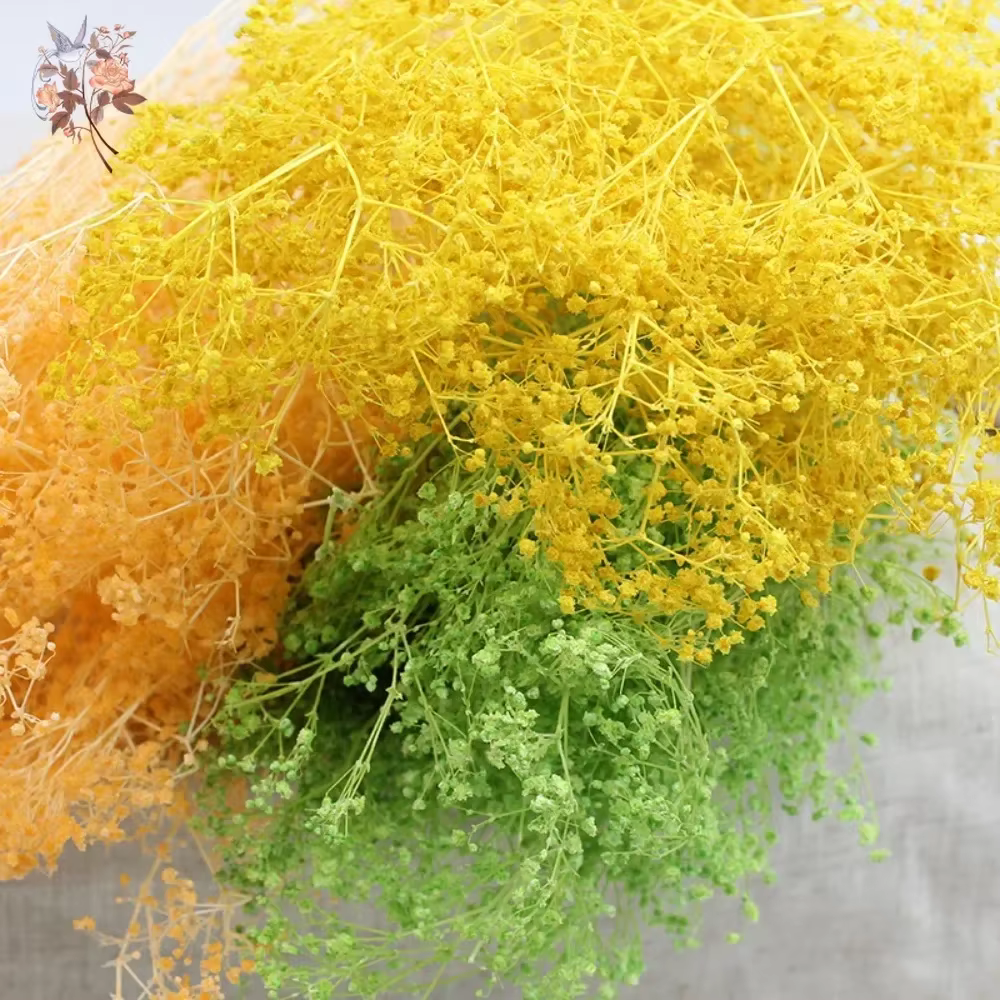 Bouquet de fleurs séchées naturelles