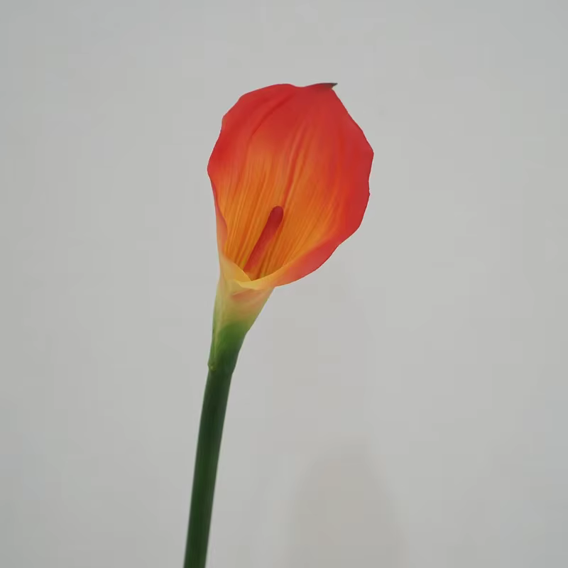 12 pièces Faux Latex Calla Lily fleurs artificielles Bouquet de mariage vraie touche Callas chambre maison décorative fête fleur accessoires