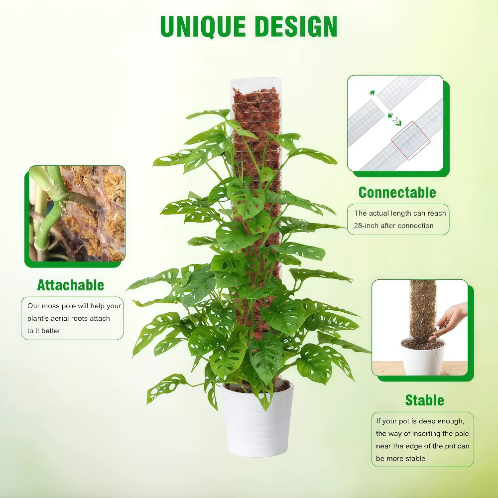 Support en plastique pour plantes grimpantes d'intérieur