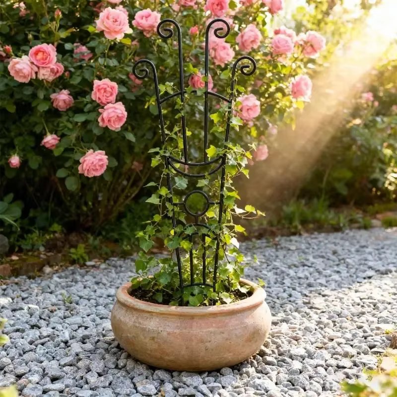 Structure Support plante en fer anti-oxydation