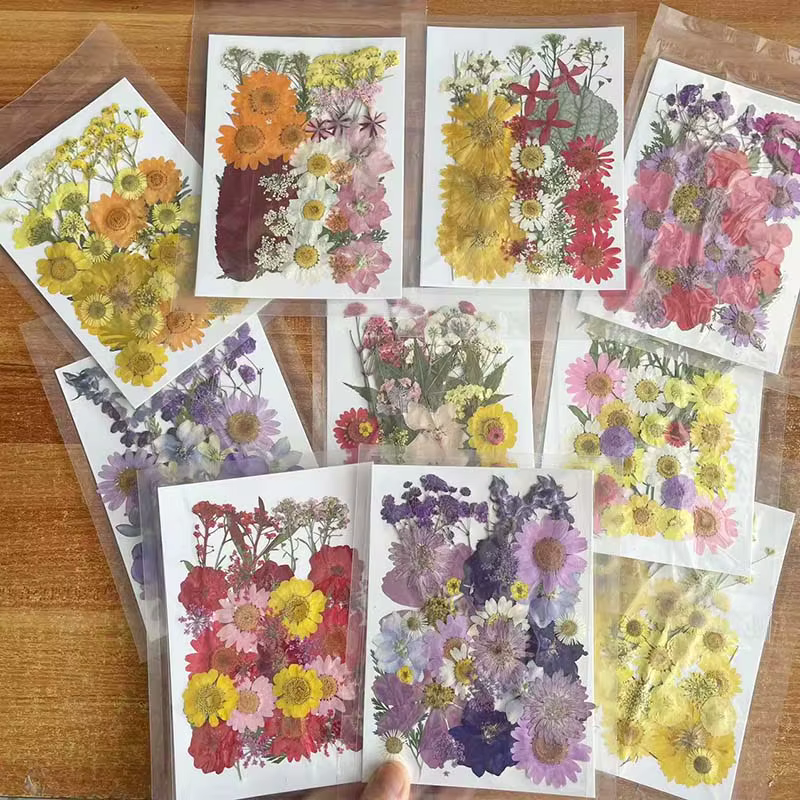 Kit de matériaux combinés de feuilles de fleurs séchées