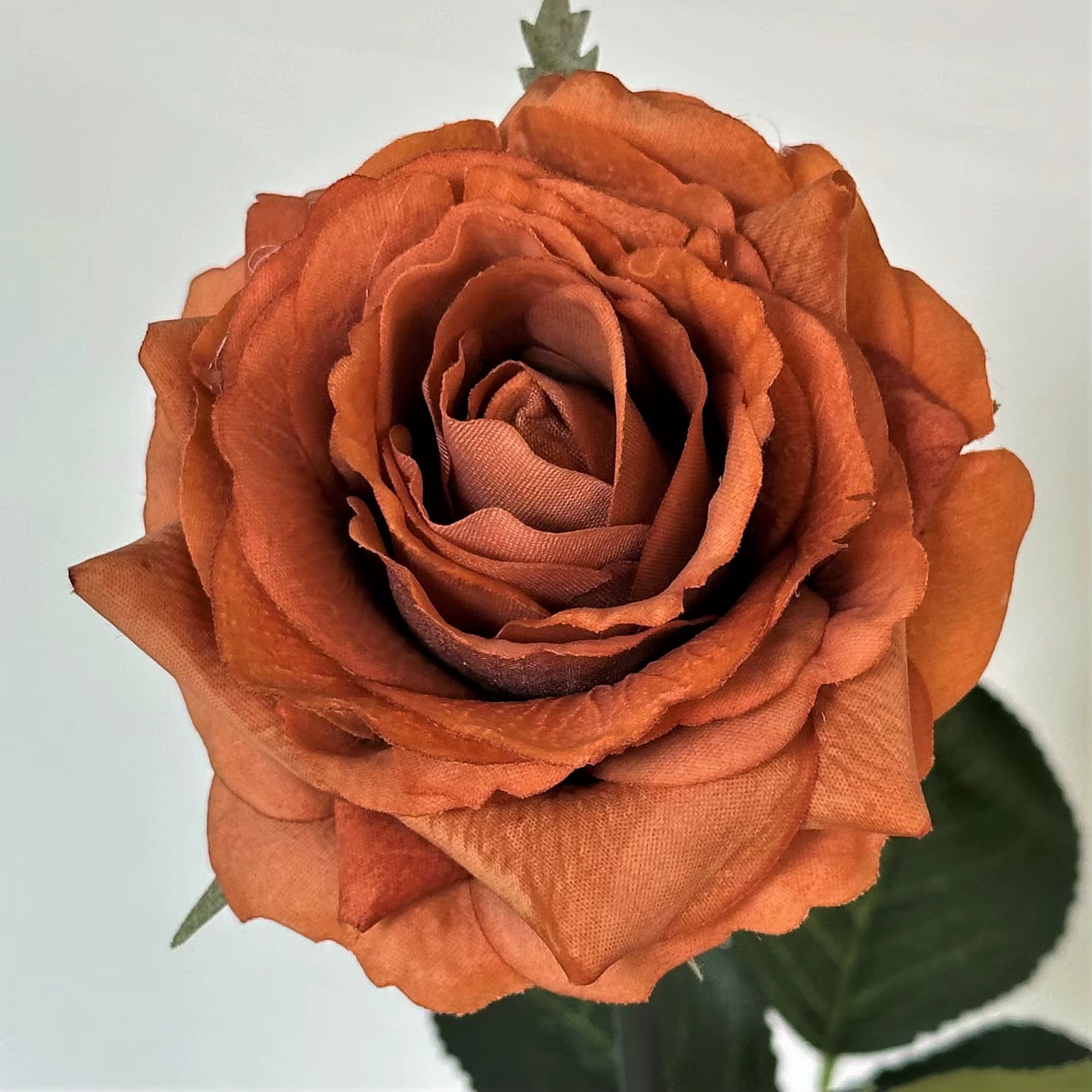Lot de 5 roses artificielles Alice à tête unique