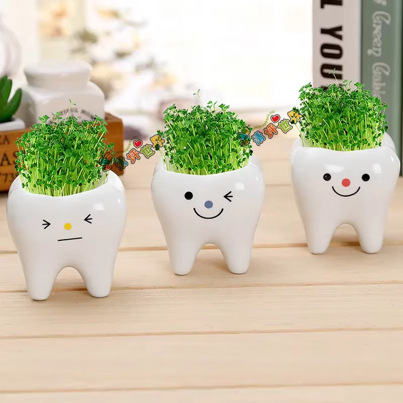 Mini pot de fleurs en céramique en forme de dent