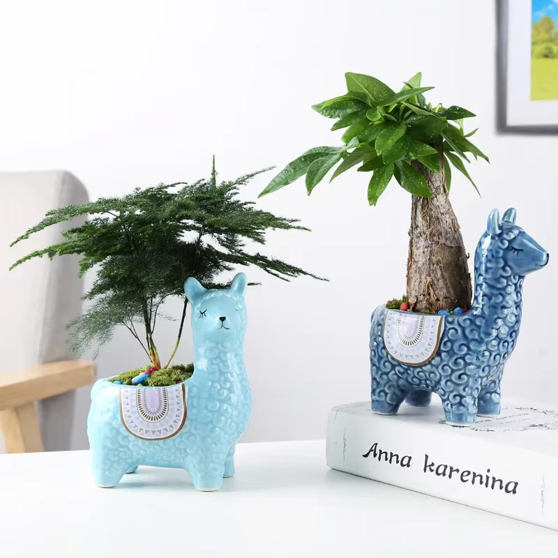 Pot de fleur succulente en alpaga