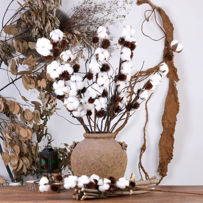 Fleurs de coton séchées naturellement