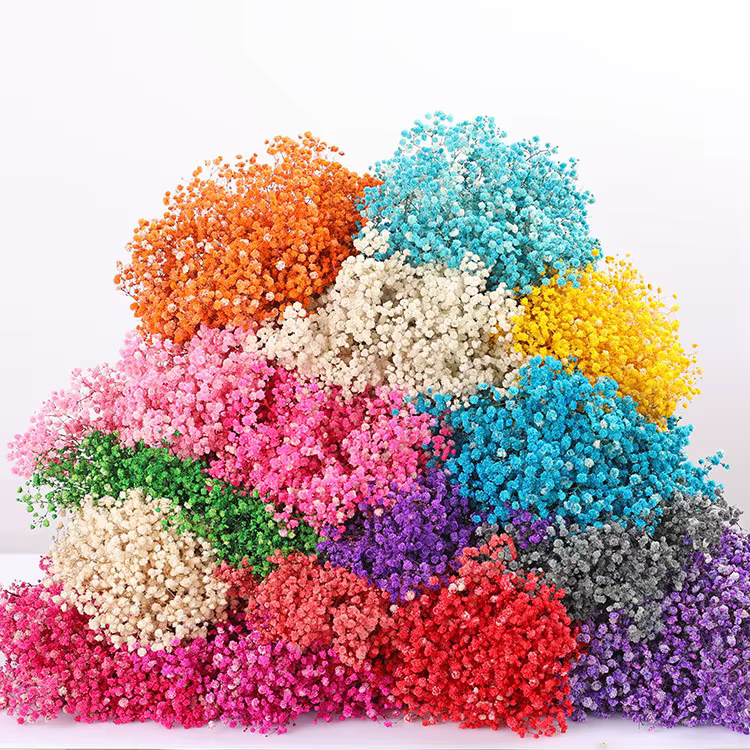 Bouquet de fleurs séchées pour bébé