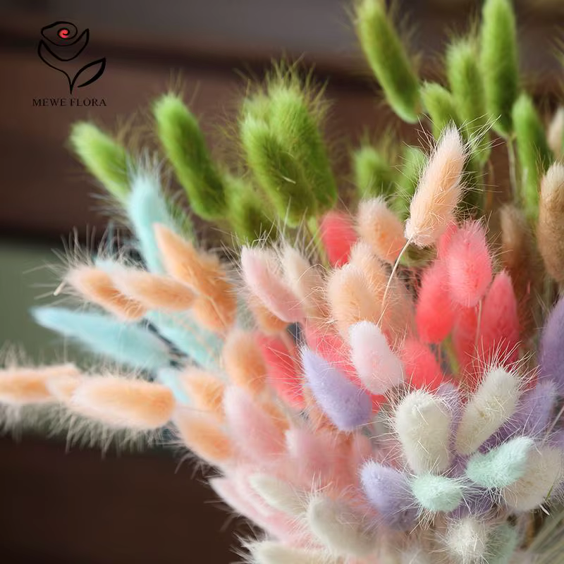 Queue de lapin naturelle moelleuse pour la décoration de la maison