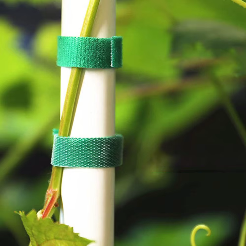 Sangle végétale Velcro dos à dos 5M/10M