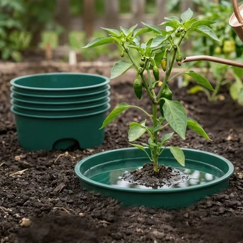 Anneaux de plantation pour arrosage profond