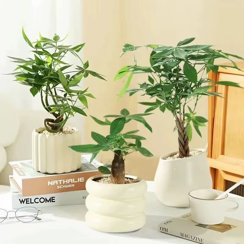 Pot de plantes en céramique de Style INS
