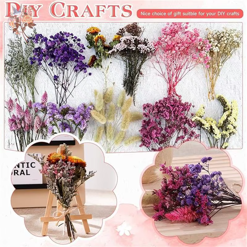 Coffret de matériaux de fleurs séchées mélangées